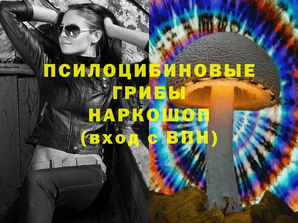 гидропоника Верхний Тагил