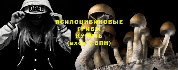 крисы Верхнеуральск