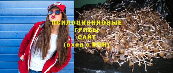 гидропоника Верхний Тагил