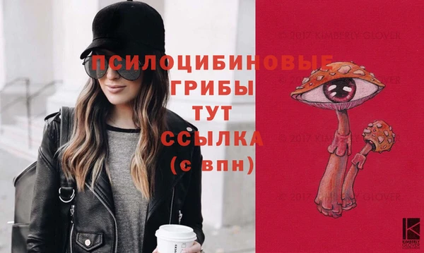 гидропоника Верхний Тагил