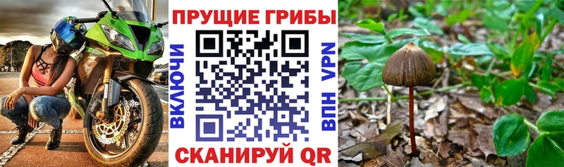 где можно купить наркотик  Назарово  Галлюциногенные грибы Magic Shrooms 