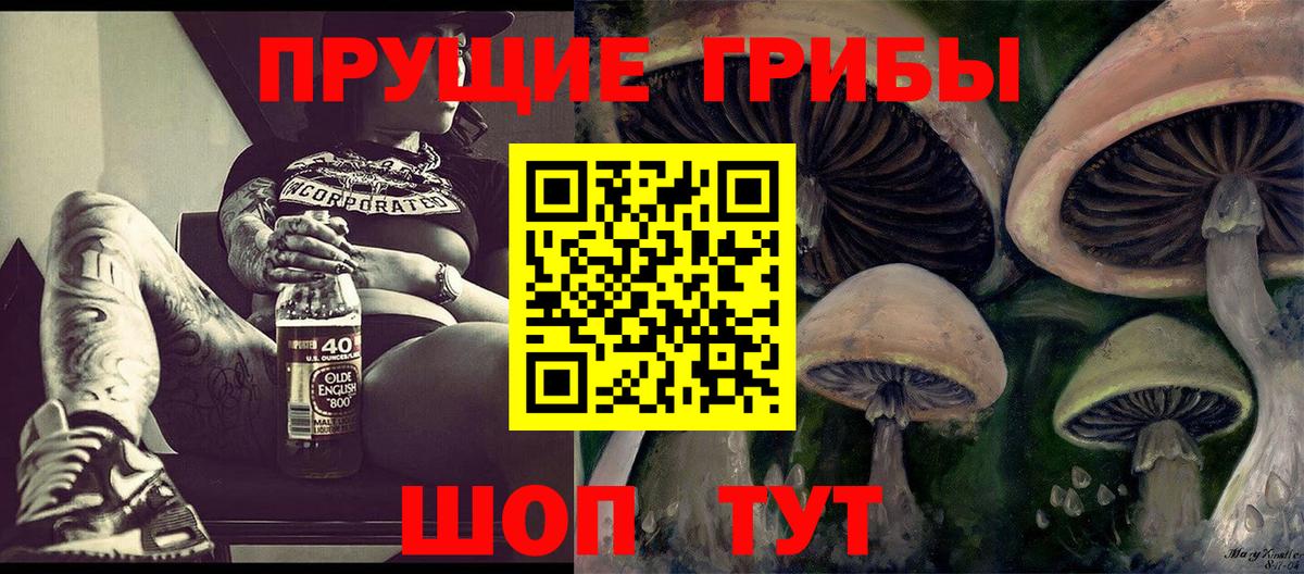 Псилоцибиновые грибы Cubensis  Вход с VPN  Галлюциногенные грибы прущие грибы  Назарово 